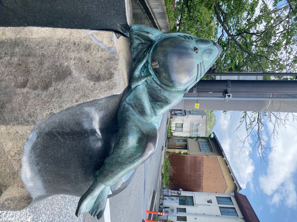 レビュー画像1