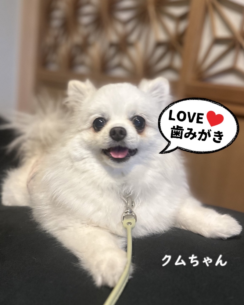 菱田直子さんのレビュー画像