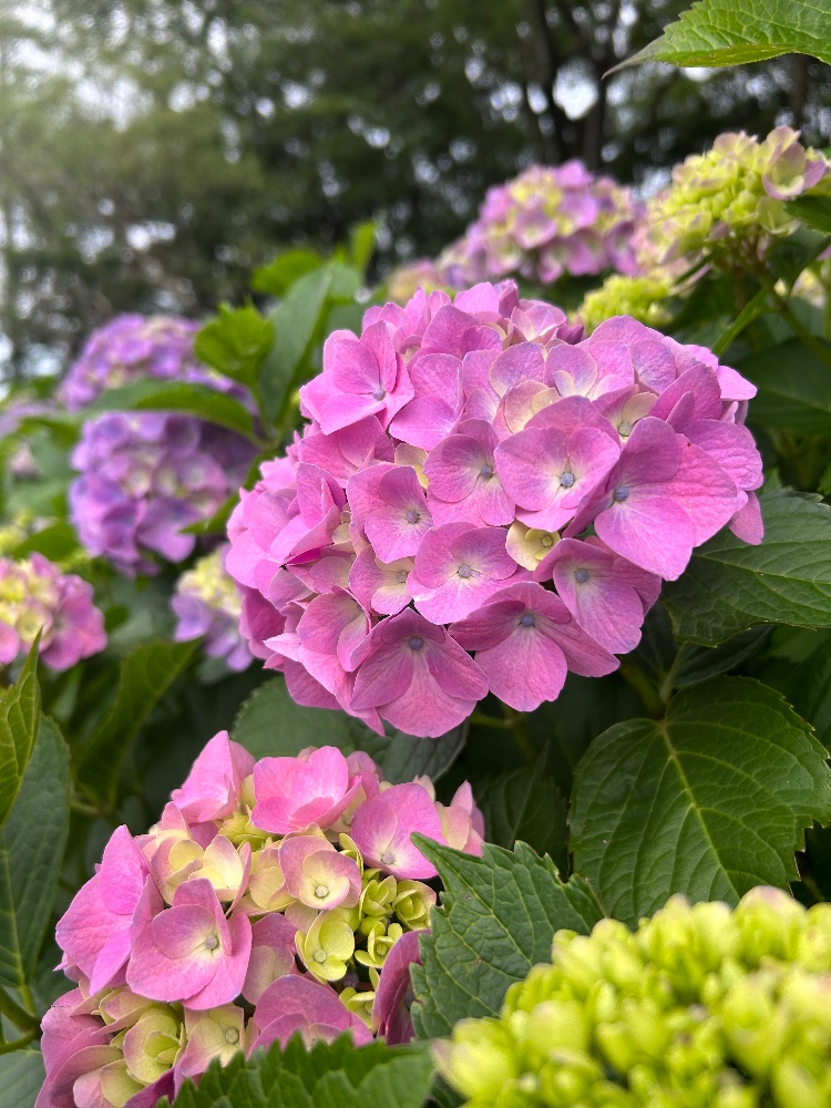 三浦芳彦さんのレビュー画像