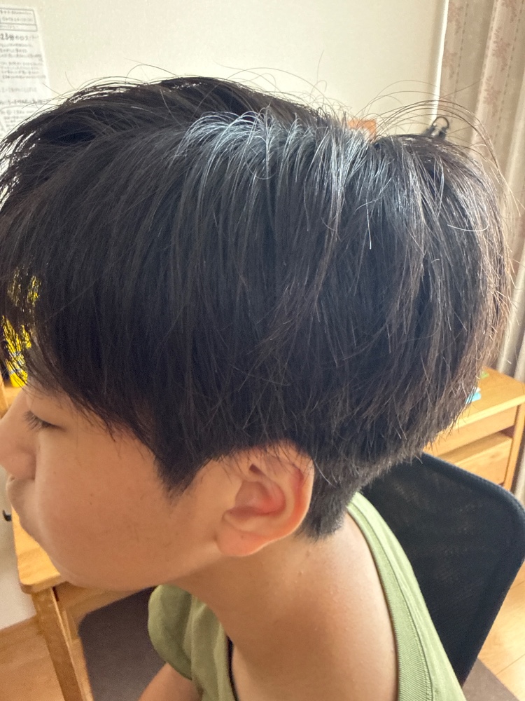 レビュー画像1