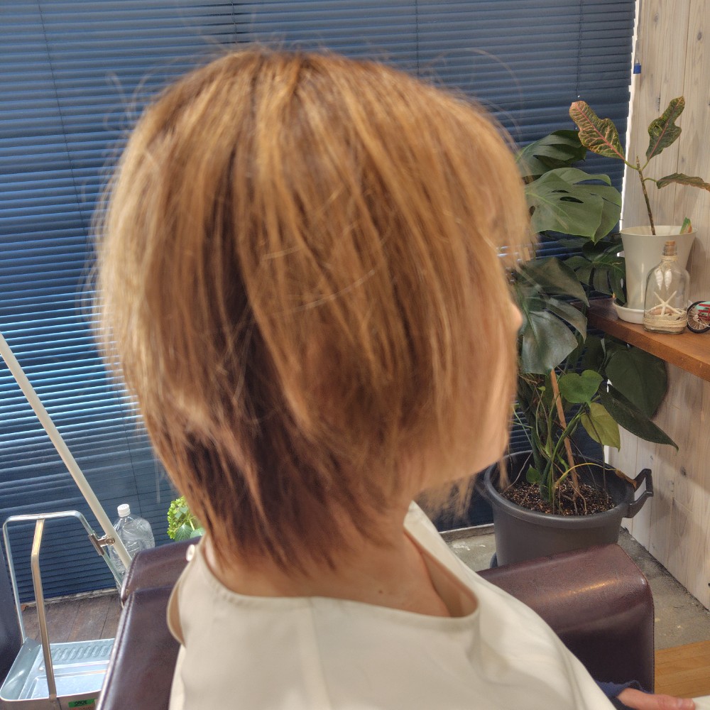 レビュー画像1