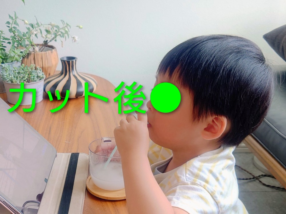 レビュー画像1