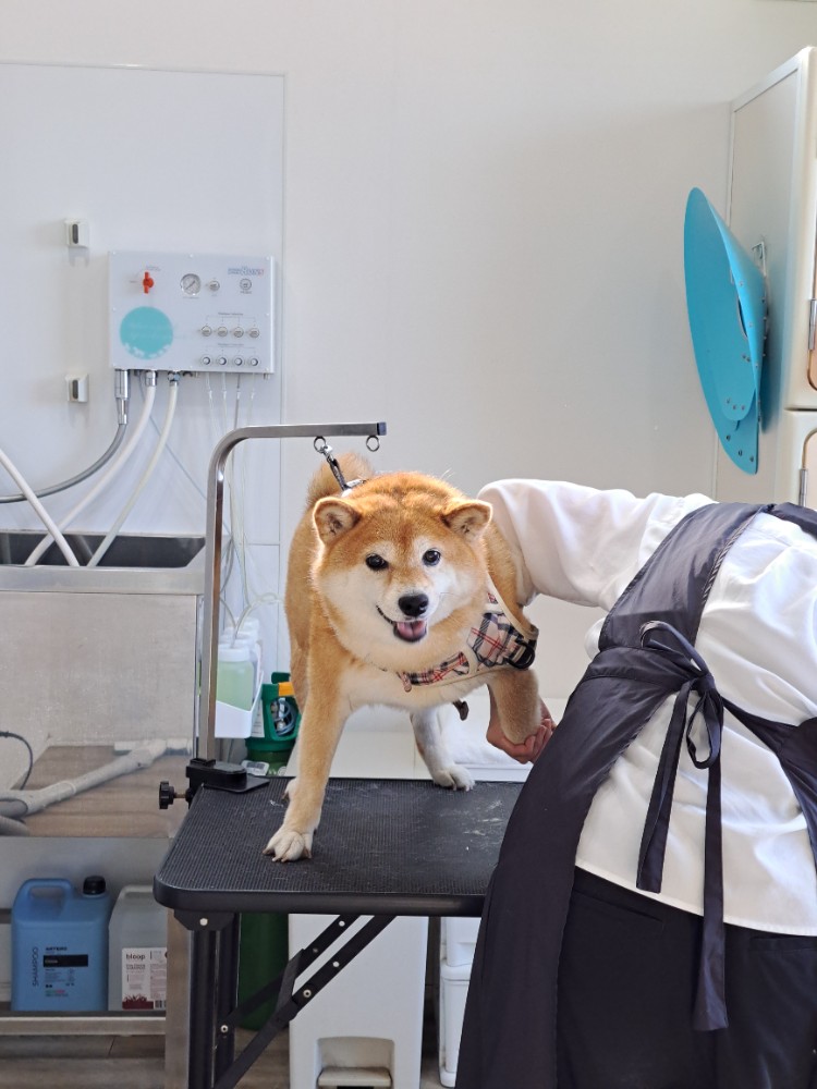 レビュー画像2