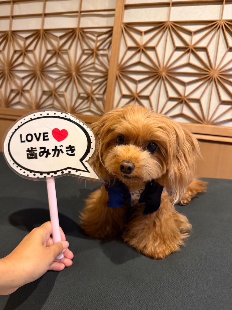 大きく径代さんのレビュー画像
