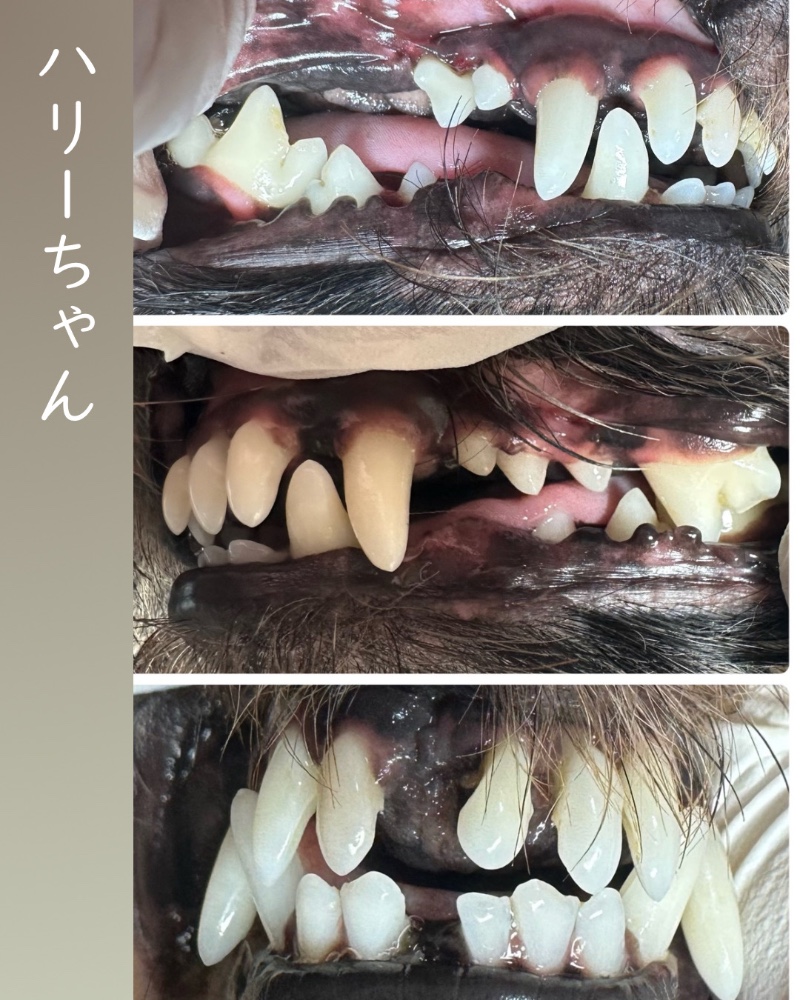 新井久美子さんのレビュー画像