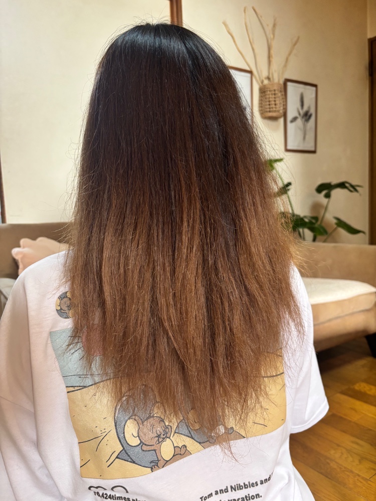 加藤樹莉さんのレビュー画像