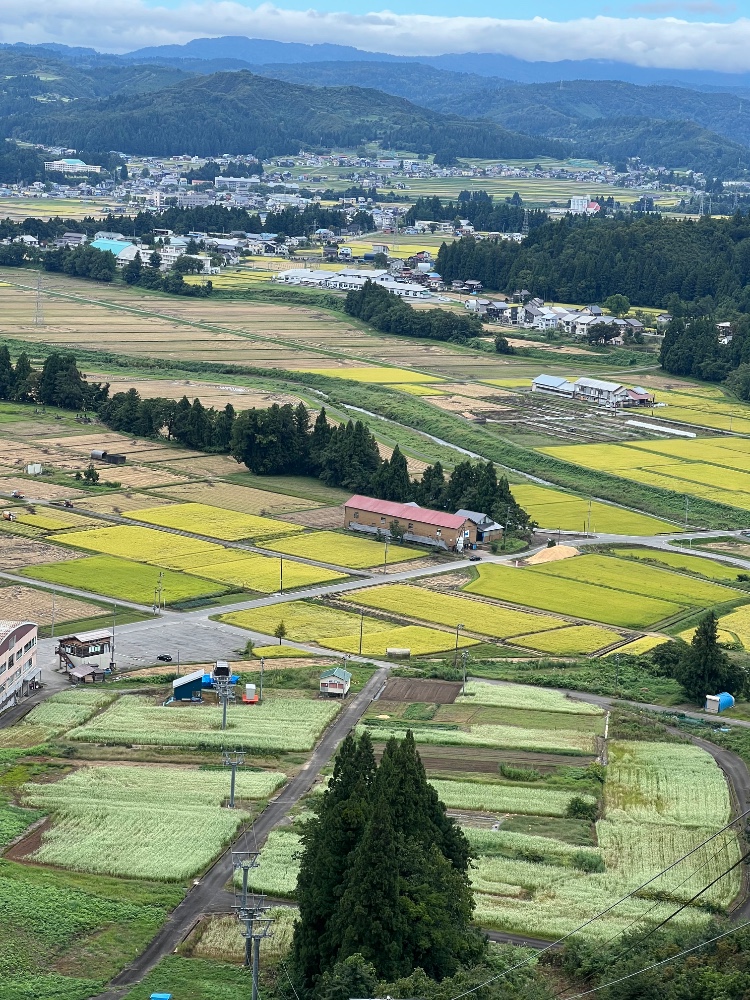 レビュー画像2