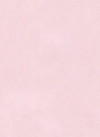 ますてすさんのレビュー画像