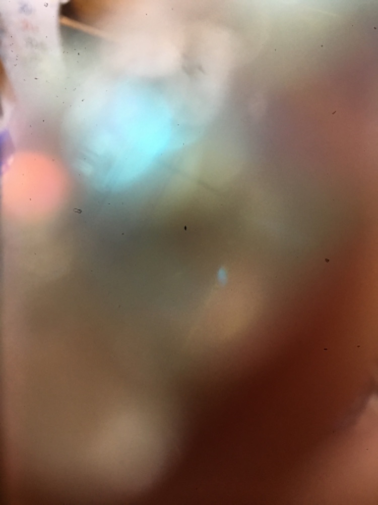 大森　節子さんのレビュー画像