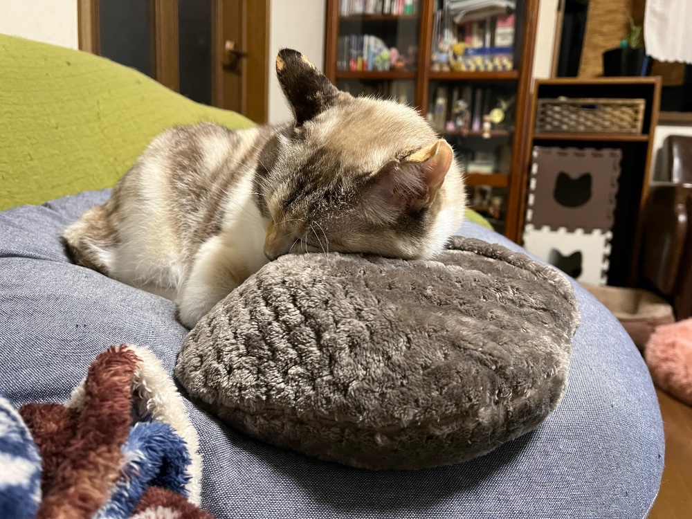 レビュー画像3